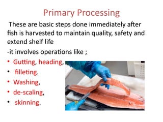 Primary Processing
These are basic steps done immediately after
fish is harvested to maintain quality, safety and
extend shelf life
-it involves operations like ;
• Gutting, heading,
• filleting.
• Washing,
• de-scaling,
• skinning.
 
