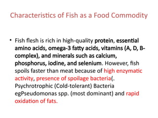 Characteristics of Fish as a Food Commodity
• Fish flesh is rich in high-quality protein, essential
amino acids, omega-3 fatty acids, vitamins (A, D, B-
complex), and minerals such as calcium,
phosphorus, iodine, and selenium. However, fish
spoils faster than meat because of high enzymatic
activity, presence of spoilage bacteria(.
Psychrotrophic (Cold-tolerant) Bacteria
egPseudomonas spp. (most dominant) and rapid
oxidation of fats.
 