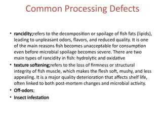 Common Processing Defects
• rancidity;refers to the decomposition or spoilage of fish fats (lipids),
leading to unpleasant odors, flavors, and reduced quality. It is one
of the main reasons fish becomes unacceptable for consumption
even before microbial spoilage becomes severe. There are two
main types of rancidity in fish: hydrolytic and oxidative
• texture softening;refers to the loss of firmness or structural
integrity of fish muscle, which makes the flesh soft, mushy, and less
appealing. It is a major quality deterioration that affects shelf life,
often linked to both post-mortem changes and microbial activity.
• Off-odors;
• Insect infestation
 