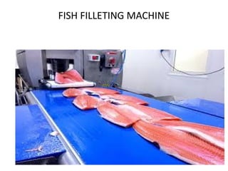 FISH FILLETING MACHINE
 