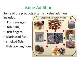 Value Addition
Some of the products after fish value addition
includes,
• Fish sausages,
• fish balls,
• fish fingers.
• Marinated fish,
• smoked fish.
• Fish powder/flour.
 