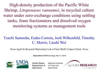 High-density production of the Pacific White
Shrimp, Litopenaeus vannamei, in recycled culture
water under zero-exchange conditions using settling
tanks, foam fractionators and dissolved oxygen
monitoring systems as management tools
Tzachi Samocha, Eudes Correia, Josh Wilkenfeld, Timothy
C. Morris, Liuzhi Wei
Texas AgriLife Research Mariculture Lab at Flour Bluff, Corpus Christi, Texas
Aquaculture 2010 San Diego, Mar 1-5, 2010
 