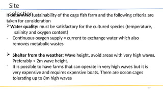 Curated visual reference: Cage Fish Farming And The Basic Principals Pptx Photo Inspiration