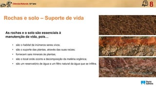 Rochas e solo – Suporte de vida
As rochas e o solo são essenciais à
manutenção da vida, pois…
• são o habitat de inúmeros seres vivos;
• são o suporte das plantas, através das suas raízes;
• fornecem sais minerais às plantas;
• são o local onde ocorre a decomposição da matéria orgânica;
• são um reservatório de água e um filtro natural da água que se infiltra.
 