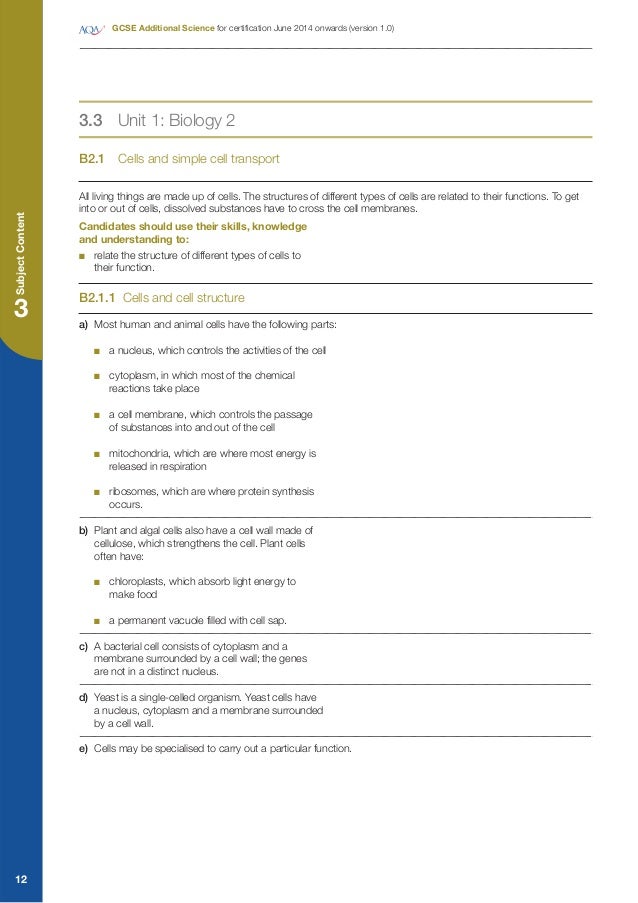 Dna homework sheet