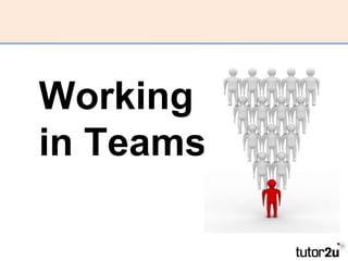 Working in Teams 