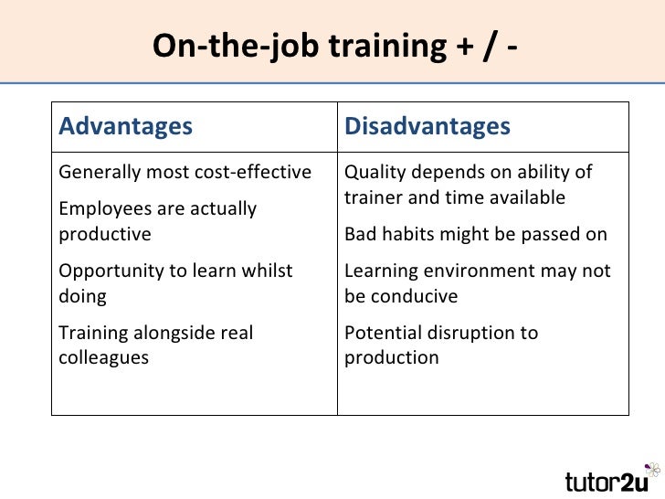 Advantages And Disadvantages Of Professional Training