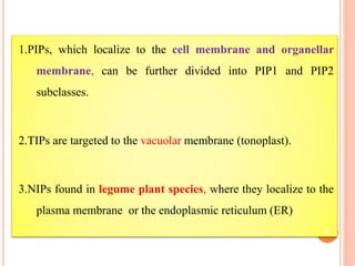 Aquaporins and their regulation in plants | PPTX