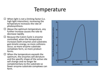 Temperature
 When light is not a limiting factor (i.e.
high light intensities), increasing the
temperature increases the rate of
photosynthesis.
 Above the optimum temperature, any
further increase causes the rate to
decrease rapidly.
 Because the Calvin Cycle is enzyme
controlled, when the temperature
increases both enzymes and substrates
gain kinetic energy, so more collisions
occur, so more enzyme substrate
complexes form, so more product
forms.
 When the temperature exceeds the
optimum, the enzymes will denature
and the specific shape of the active site
will change and no longer be
complementary to the substrate so
fewer enzyme-substrate complexes can
form.

 