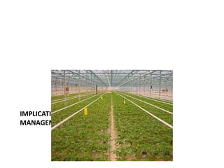 IMPLICATIONS FOR COMMERCIAL GLASSHOUSE
MANAGEMENT

 