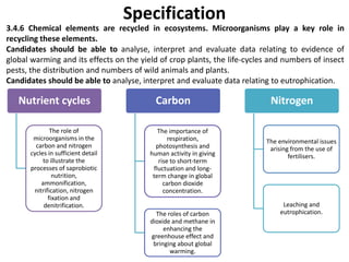 Specification
3.4.6 Chemical elements are recycled in ecosystems. Microorganisms play a key role in
recycling these elements.
Candidates should be able to analyse, interpret and evaluate data relating to evidence of
global warming and its effects on the yield of crop plants, the life-cycles and numbers of insect
pests, the distribution and numbers of wild animals and plants.
Candidates should be able to analyse, interpret and evaluate data relating to eutrophication.

Nutrient cycles
The role of
microorganisms in the
carbon and nitrogen
cycles in sufficient detail
to illustrate the
processes of saprobiotic
nutrition,
ammonification,
nitrification, nitrogen
fixation and
denitrification.

Carbon
The importance of
respiration,
photosynthesis and
human activity in giving
rise to short-term
fluctuation and longterm change in global
carbon dioxide
concentration.
The roles of carbon
dioxide and methane in
enhancing the
greenhouse effect and
bringing about global
warming.

Nitrogen

The environmental issues
arising from the use of
fertilisers.

Leaching and
eutrophication.

 