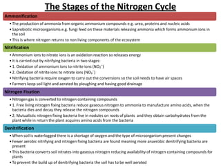The Stages of the Nitrogen Cycle
Ammonification
• The production of ammonia from organic ammonium compounds e.g. urea, proteins and nucleic acids
• Saprobiotic microorganisms e.g. fungi feed on these materials releasing ammonia which forms ammonium ions in
the soil
• This is where nitrogen returns to non living components of the ecosystem

Nitrification
• Ammonium ions to nitrate ions is an oxidation reaction so releases energy
• It is carried out by nitrifying bacteria in two stages:
• 1. Oxidation of ammonium ions to nitrite ions (NO₂¯)
• 2. Oxidation of nitrite ions to nitrate ions (NO₃¯)
• Nitrifying bacteria require oxygen to carry out the conversions so the soil needs to have air spaces
• Farmers keep soil light and aerated by ploughing and having good drainage

Nitrogen Fixation
• Nitrogen gas is converted to nitrogen containing compounds
• 1. Free living nitrogen fixing bacteria reduce gaseous nitrogen to ammonia to manufacture amino acids, when the
bacteria dies and decay they release the nitrogen compounds
• 2. Mutualistic nitrogen fixing bacteria live in nodules on roots of plants and they obtain carbohydrates from the
plant while in return the plant acquires amino acids from the bacteria

Denitrification
• When soil is waterlogged there is a shortage of oxygen and the type of microorganism present changes
• Fewer aerobic nitrifying and nitrogen fixing bacteria are found meaning more anaerobic denitrifying bacteria are
present
• This bacteria converts soil nitrates into gaseous nitrogen reducing availability of nitrogen containing compounds for
plants
• To prevent the build up of denitrifying bacteria the soil has to be well aerated

 