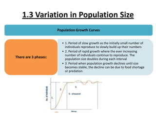 1.3 Variation in Population Size
Population Growth Curves
• 1. Period of slow growth as the initially small number of
individuals reproduce to slowly build up their numbers
• 2. Period of rapid growth where the ever increasing
number of individuals continue to reproduce. The
population size doubles during each interval
• 3. Period when population growth declines until size
becomes stable, the decline can be due to food shortage
or predation

There are 3 phases:

2.
1.

3.

 