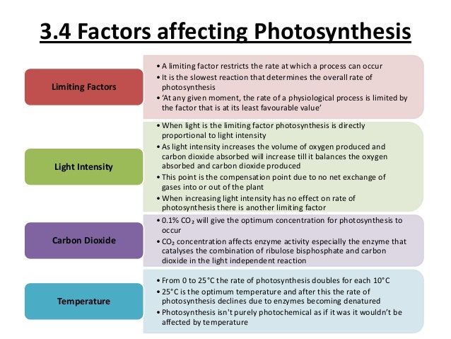 aqa biology synoptic essay Aqa biology synoptic essay help aqa biology synoptic essay help mba admissions advice, essay consulting and editing service, free essay writingillinois institute. aqa biology synoptic essay Aqa biology synoptic essay help aqa biology synoptic essay help mba admissions advice, essay consulting and editing service, free essay writingillinois institute.