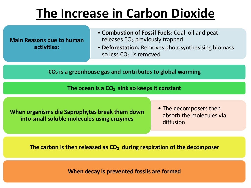 a2 biology coursework aqa