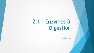 2.1 – Enzymes &
Digestion
By Piril Erel
1
 