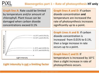 aqa_biology_bioenergetics_knowit_gcse.pptx