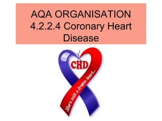 AQA ORGANISATION
4.2.2.4 Coronary Heart
Disease
 