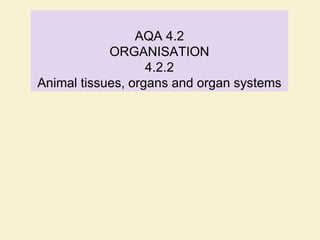 AQA 4.2
ORGANISATION
4.2.2
Animal tissues, organs and organ systems
 