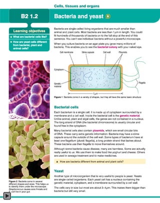 AQA GCSE Biology