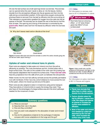 AQA GCSE Biology