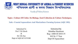 Faculty of Fishery Sciences
Submitted By
Haladhar Hembram
Reg:- 6408 Of 2018-19
M.F.Sc 1st Year
Dept Of Aquaculture
Submitted To
Prof. T.K Ghosh
&
Dr. S.K Sau
Dept of AQUACULTURE
Topic:- Culture Of Cobia- Its Biology, Seed Collection & Culture Techniques.
Sub:- Coastal Aquaculture And Mariculture Farming System (AQC-502)
 