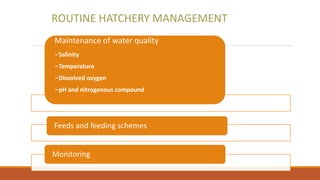 Maintenance of water quality
-Salinity
-Temperature
-Dissolved oxygen
-pH and nitrogenous compound
Feeds and feeding schemes
Monitoring
ROUTINE HATCHERY MANAGEMENT
 