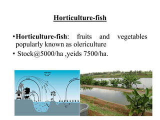 Horticulture-fish
•Horticulture-fish: fruits and vegetables
popularly known as olericulture
• Stock@5000/ha ,yeids 7500/ha.
 