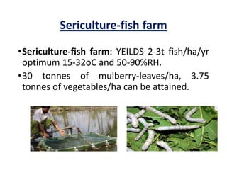 Sericulture-fish farm
•Sericulture-fish farm: YEILDS 2-3t fish/ha/yr
optimum 15-32oC and 50-90%RH.
•30 tonnes of mulberry-leaves/ha, 3.75
tonnes of vegetables/ha can be attained.
 