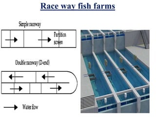 Race way fish farms
 