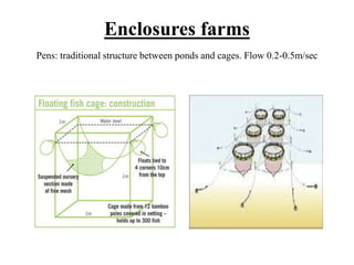 Enclosures farms
Pens: traditional structure between ponds and cages. Flow 0.2-0.5m/sec
 
