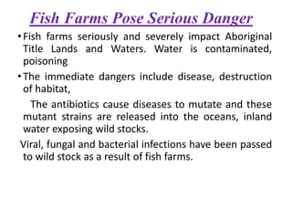 Fish Farms Pose Serious Danger
•Fish farms seriously and severely impact Aboriginal
Title Lands and Waters. Water is contaminated,
poisoning
•The immediate dangers include disease, destruction
of habitat,
The antibiotics cause diseases to mutate and these
mutant strains are released into the oceans, inland
water exposing wild stocks.
Viral, fungal and bacterial infections have been passed
to wild stock as a result of fish farms.
 