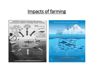 Impacts of farming
 