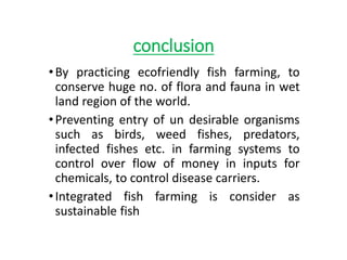 conclusion
•By practicing ecofriendly fish farming, to
conserve huge no. of flora and fauna in wet
land region of the world.
•Preventing entry of un desirable organisms
such as birds, weed fishes, predators,
infected fishes etc. in farming systems to
control over flow of money in inputs for
chemicals, to control disease carriers.
•Integrated fish farming is consider as
sustainable fish
 