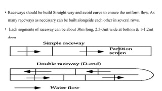 • Raceways should be build Straight way and avoid curve to ensure the uniform flow. As
many raceways as necessary can be built alongside each other in several rows.
• Each segments of raceway can be about 30m long, 2.5-3mt wide at bottom & 1-1.2mt
deep.
 