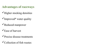 Advantages of raceways
Higher stocking densities
Improved* water quality
Reduced manpower
Ease of harvest
Precise disease treatments
Collection of fish wastes
 
