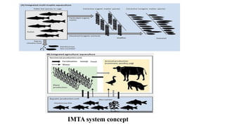 IMTA system concept
 