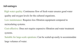 Advantages
High water quality: Continuous flow of fresh water ensures good water
quality and oxygen levels for the cultured organisms.
Low maintenance: Requires less filtration equipment compared to
recirculating systems.
Cost-effective: Does not require expensive filtration and water treatment
systems.
Suitable for large-scale oprations: Can be scaled up easily to accommodate
large volumes of water.
 