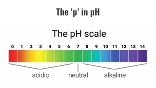 The ‘p’ in pH
 