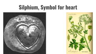 Silphium, Symbol for heart
 