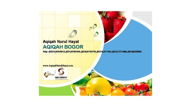 Aqiqah murah daerah khusus ibukota jakarta