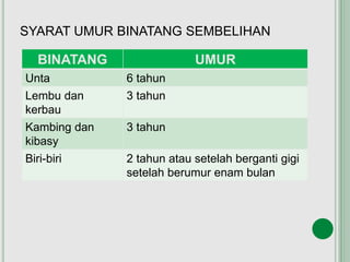 SYARAT UMUR BINATANG SEMBELIHAN
BINATANG UMUR
Unta 6 tahun
Lembu dan
kerbau
3 tahun
Kambing dan
kibasy
3 tahun
Biri-biri 2 tahun atau setelah berganti gigi
setelah berumur enam bulan
 