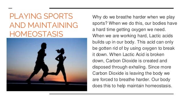 dating coach washington dc