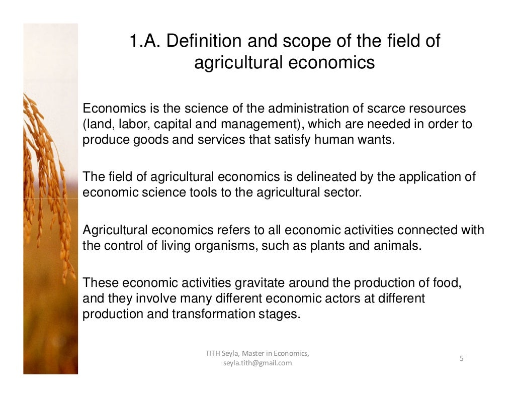 hypothesis agricultural economics