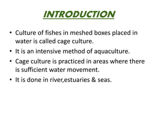 INTRODUCTION
• Culture of fishes in meshed boxes placed in
water is called cage culture.
• It is an intensive method of aquaculture.
• Cage culture is practiced in areas where there
is sufficient water movement.
• It is done in river,estuaries & seas.
 
