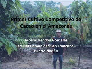 Primer Cultivo Competitivo de Cacao en el Amazonas 
Arcesio Rendon Gonzales 
Familias Comunidad San Francisco – Puerto Nariño  