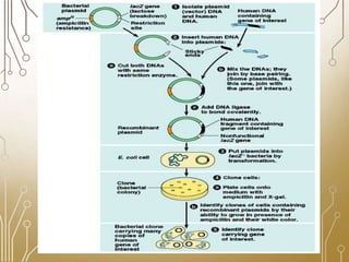 Library Cloning gene cloning, secreening a library, cloning products, requrements, | PPTX