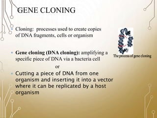 Library Cloning gene cloning, secreening a library, cloning products, requrements, | PPTX