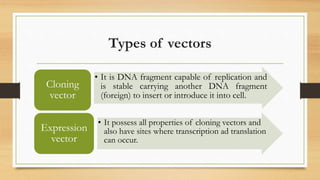 Isolate Vector Vector isolation | PPTX