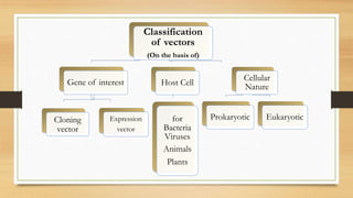 Isolate Vector Vector isolation | PPTX